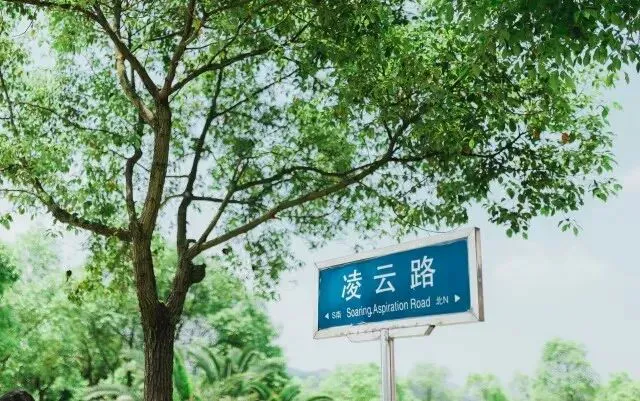 如何制定智能篮球训练计划_1